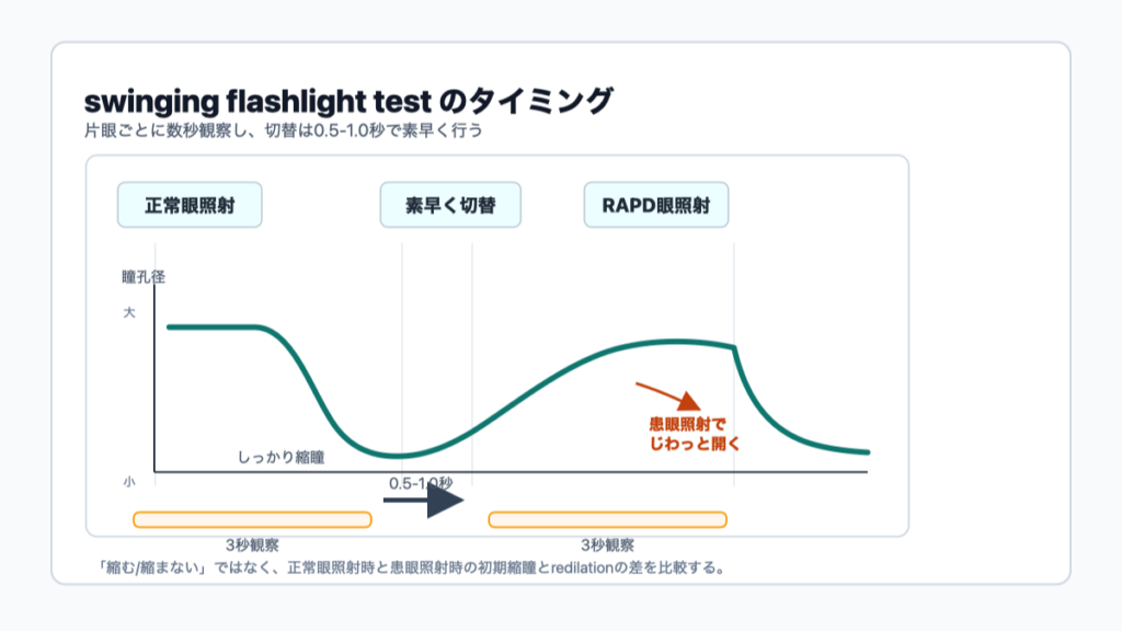 図1(スイング法の手技細部 §「何を見ているのか」の直後
